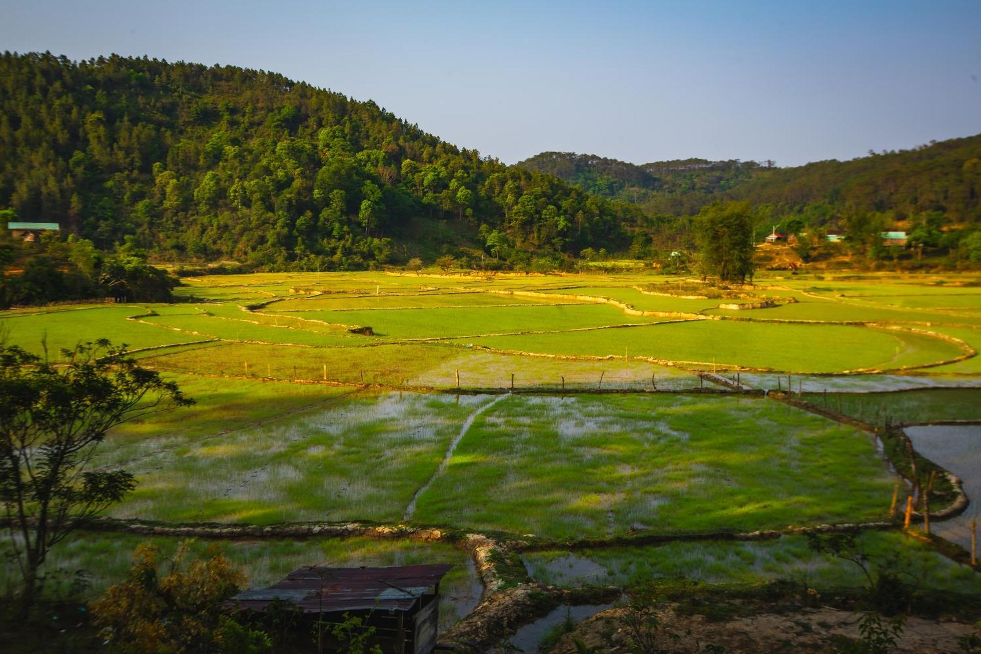 Nha Trong Ban - Homestay Mang Den Kon Von Kla Extérieur photo