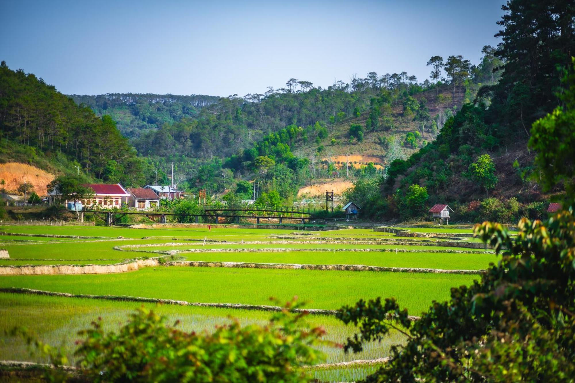 Nha Trong Ban - Homestay Mang Den Kon Von Kla Extérieur photo